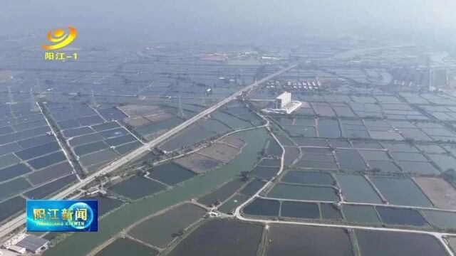 向海发展看阳江——沿海行 | 看平冈:聚焦“三生”助推“高新”发展 构建宜居宜业“蓝色家园”