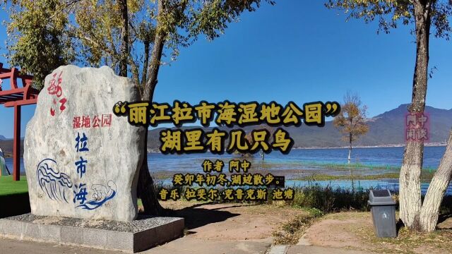 “丽江拉市海湿地公园”湖里有几只鸟