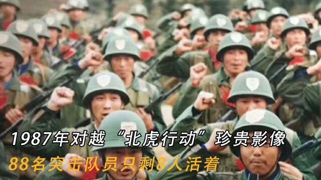 1987年对越“北虎行动”珍贵影像:88名突击队员只剩8人活着