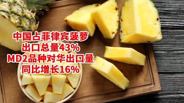 中国占菲律宾菠萝总出口量43%,MD2品种对华出口量同比增长16%