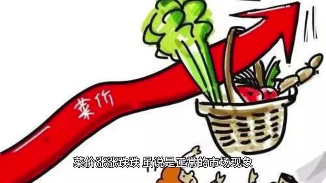 大白菜价格低两毛钱一斤,菜便宜了老百姓伤不起