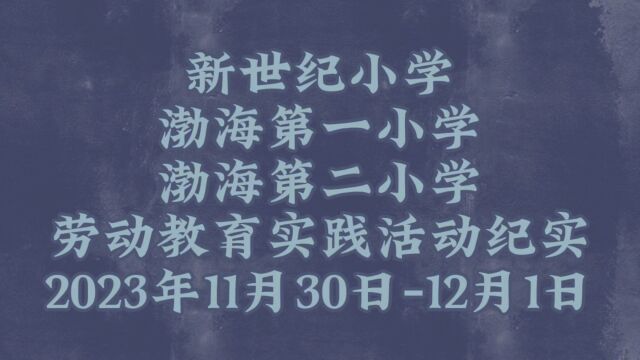 新世纪小学、渤海一小、渤海二小活动纪实