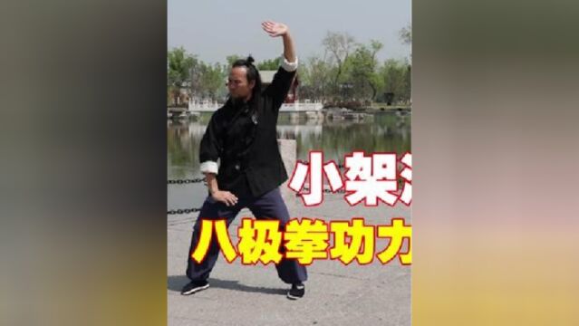 八极拳功力训练的基础,小架套路演练