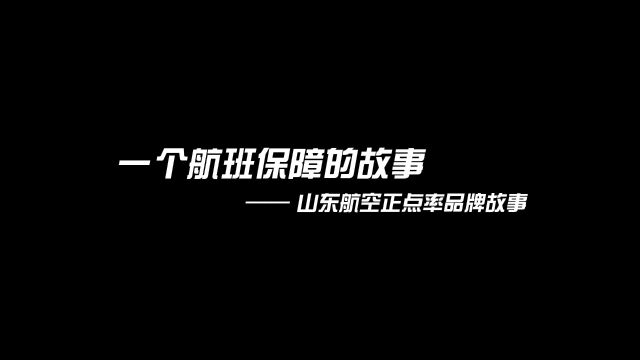 山东航空运行风险控制中心正点率品牌故事