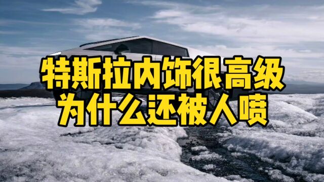 互联网评:特斯拉内饰真高级,为什么还总被人喷?