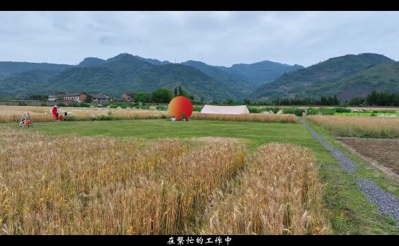 我们常说没空,其实是心里没空,有时间和我一起踏上雅安荥经的路途吧!