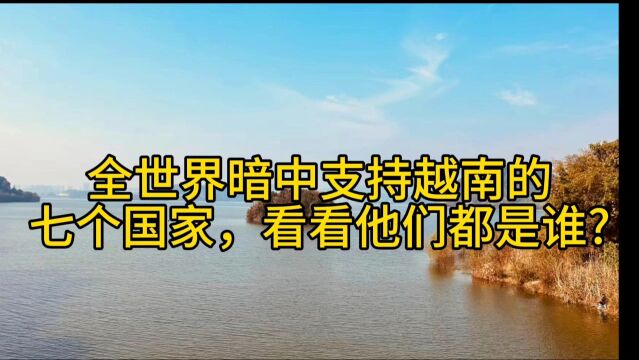 全世界暗中支持越南的七个国家,看看他们都是谁?