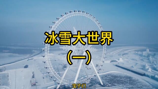 探秘冰雪奇缘,哈尔滨冰雪大世界游玩攻略来啦!