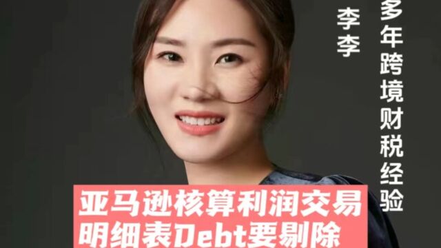 亚马逊核算利润交易明细表Debt要剔除