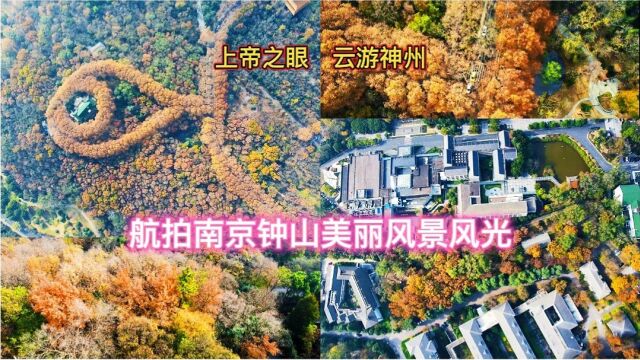 来南京游玩钟山一定去看看,有中山陵有明孝陵,秋季这儿更美!