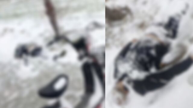 网传河南濮阳一男子酒后在雪地里死亡,村委会称其酒后离家,警方:初步判断是酒后冻死