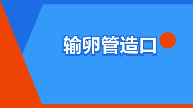 “输卵管造口”是什么意思?