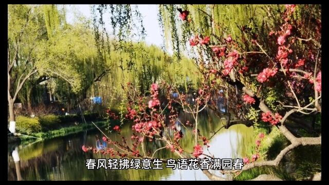 《鸟语花香》