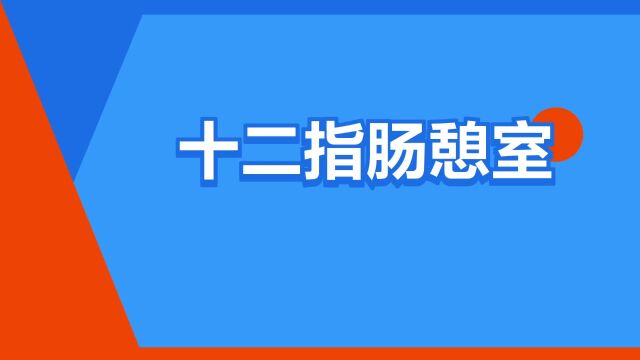 “十二指肠憩室”是什么意思?