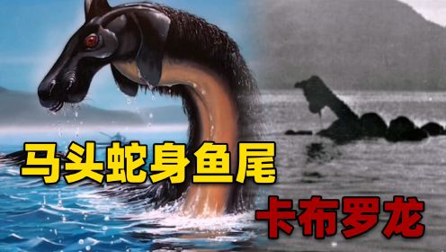 加拿大出现的海马兽，可能是中国龙的原型？或许是史前生物孑遗
