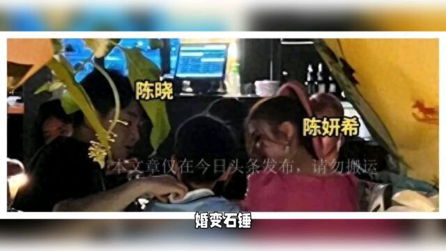 婚变石锤?陈妍希承认出轨,曝离婚内幕陈晓忍无可忍,直言永别了