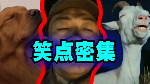 爆笑解说:你有那种看起来很享受的表情包吗?