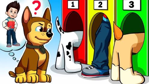汪汪队搞笑动画：狗狗们落入猫咪的陷阱，毛毛能否救出杰克和狗狗