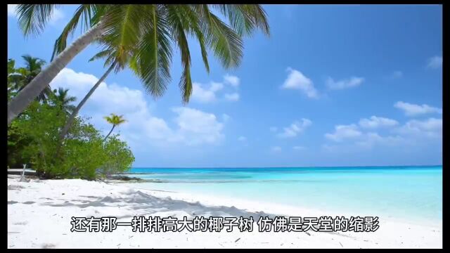 北海——一个充满神秘色彩与美丽风景的地方