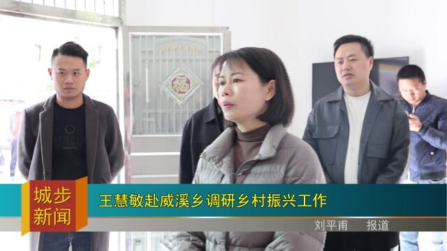 王慧敏赴威溪乡调研乡村振兴工作