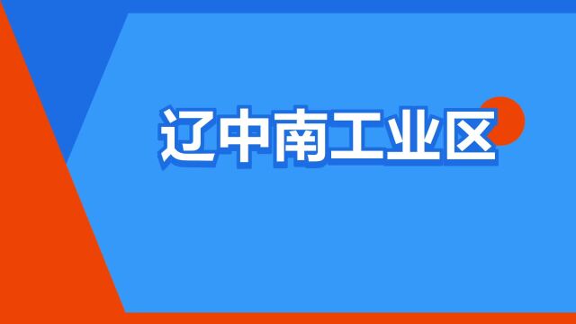 “辽中南工业区”是什么意思?