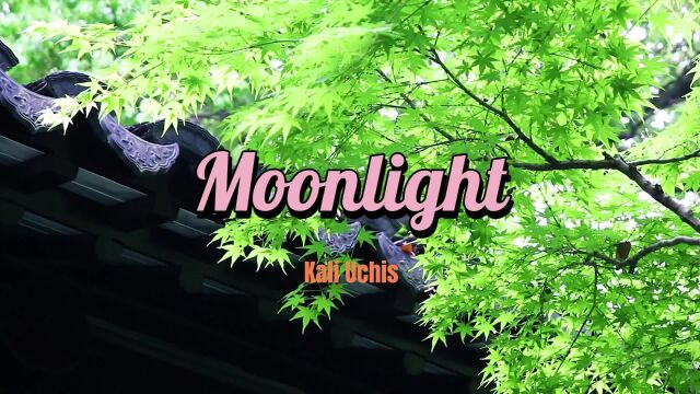 “好久不见,灯光摇曳中仿佛看到迷醉的你”《Moonlight》