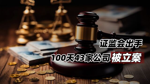 证监会出手:100天43家公司被立案