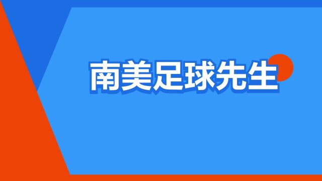 “南美足球先生”是什么意思?