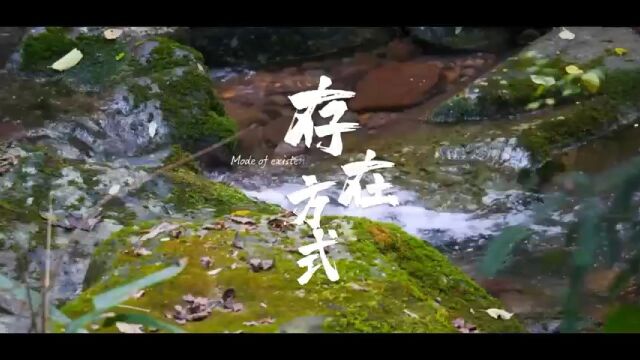 诗电影《存在方式》 作者:叶如钢 监制:范群 配音:张健 制作:张建军