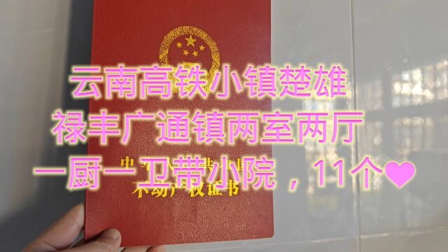 云南高铁小镇楚雄禄丰广通镇两室两厅一厨一卫带小院,11个