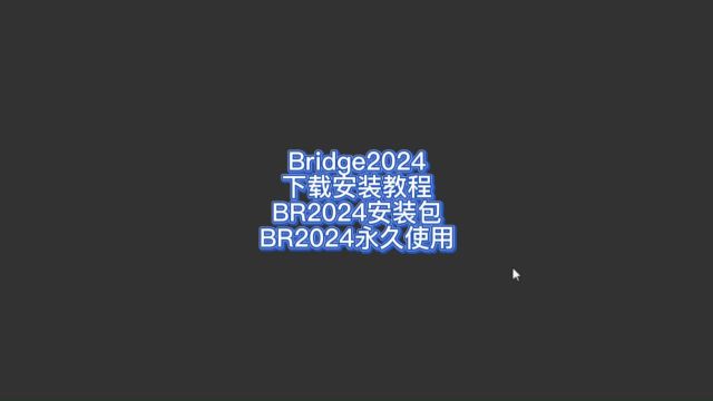 Bridge2024永久使用的教程 最简单快速下载安装br2024