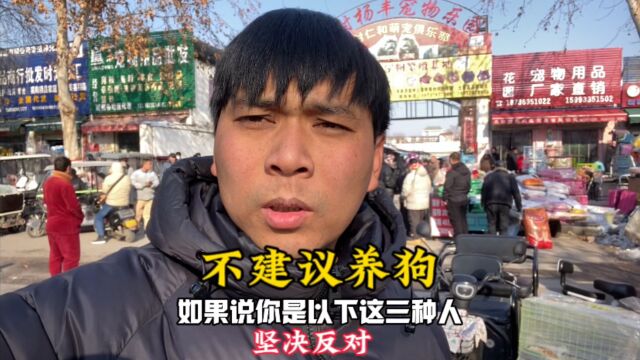 坚决反对这三种人养狗,无论多喜欢都不建议养,尤其是重感情的!