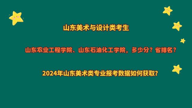 山东美术与设计类,山东农业工程学院、山东石油化工学院,多少分