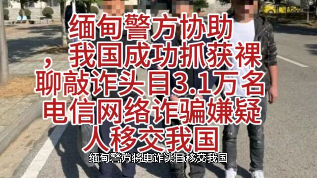 缅甸警方协助,我国成功抓获裸聊敲诈头目:3.1万名电信网络诈骗嫌疑人移交我国