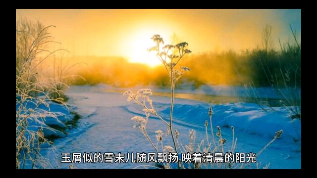 瑞雪兆丰年