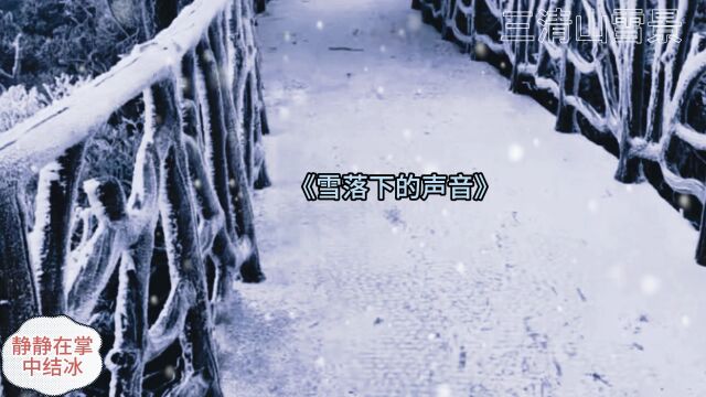 三清山雪景:《雪落下的声音》