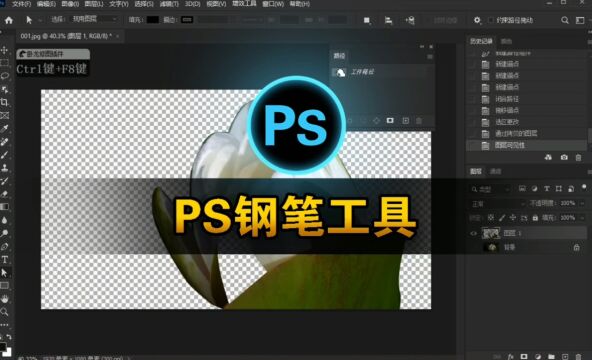 ps钢笔工具操作技巧,最专业的抠图工具之一