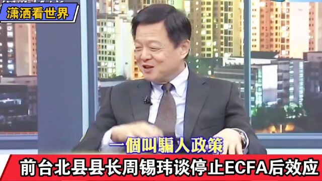 前台北县县长周锡玮谈停止ECFA后效应