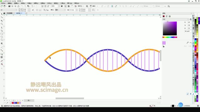 【SCI科研制图教程】如何用CDR软件绘制DNA链(CorelDRAW软件CDR软件)【宋元元博主】