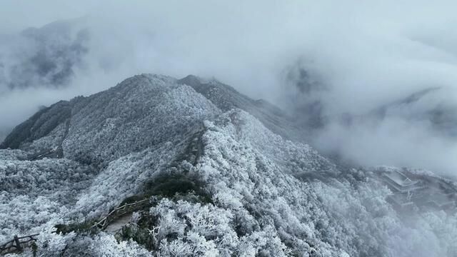 寻觅山野,在自由中找到答案.#徒步 #户外