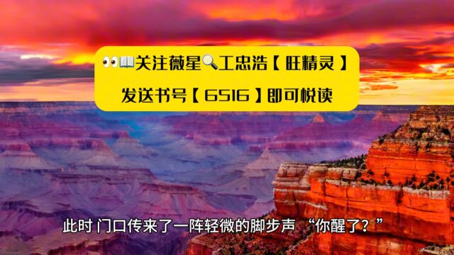 《看懂上古神文后,我被女神宫留用了》钟文全文TXT无弹窗◇阅读