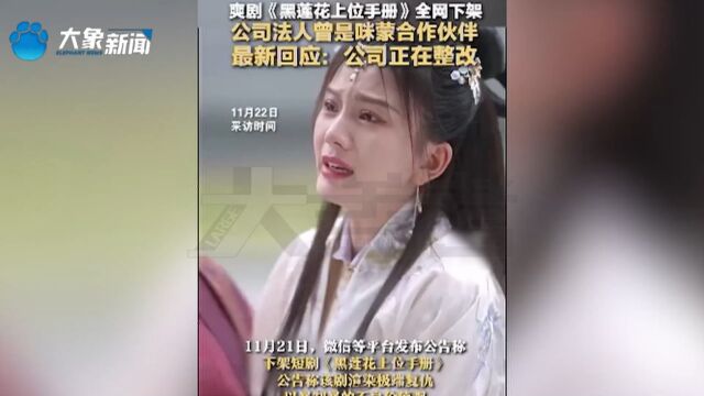 爆款短剧被下架,微短剧治理如何发力?