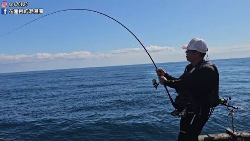 花莲港矶钓，全是巨物的钓点，天天爆满，钓鱼的魅力就在此