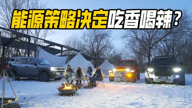 新贵锋芒or老钱味道之露营篇 能源策略决定吃香喝辣?