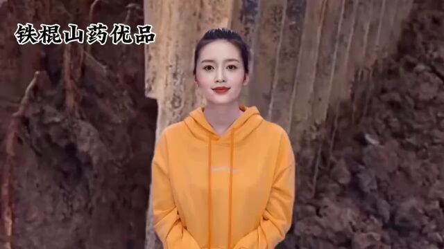 温县垆土铁棍山药:独特的生长环境和品种优势,送父母送长辈