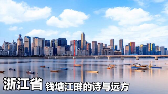 浙江省,钱塘潮涌,打造数字智慧新城市