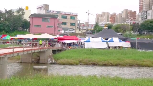 【韩国街头炭火烤肉店】烤猪排,烤鸡,生意火爆