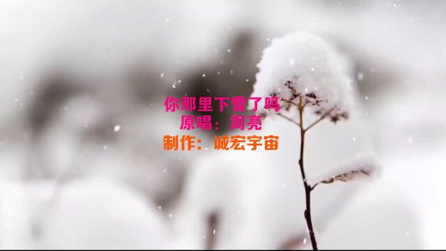 周亮你那里下雪了吗诚宏宇宙