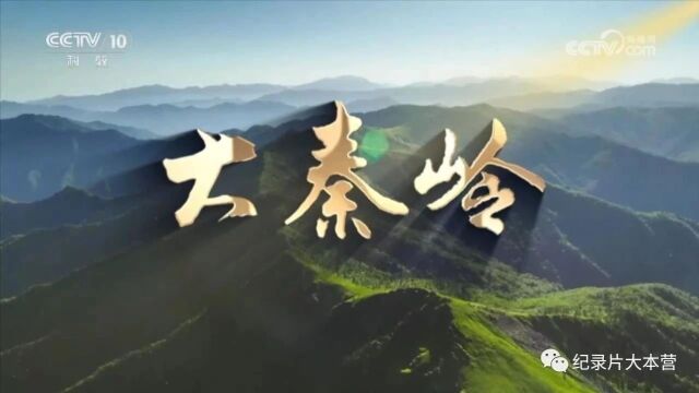 美丽中国|中华名山系列纪录片《大秦岭》4集(全)2023版