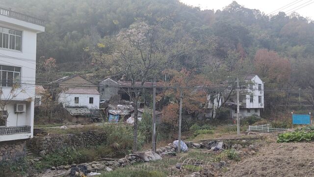 台州市天台县格山村,农村气息扑面而来